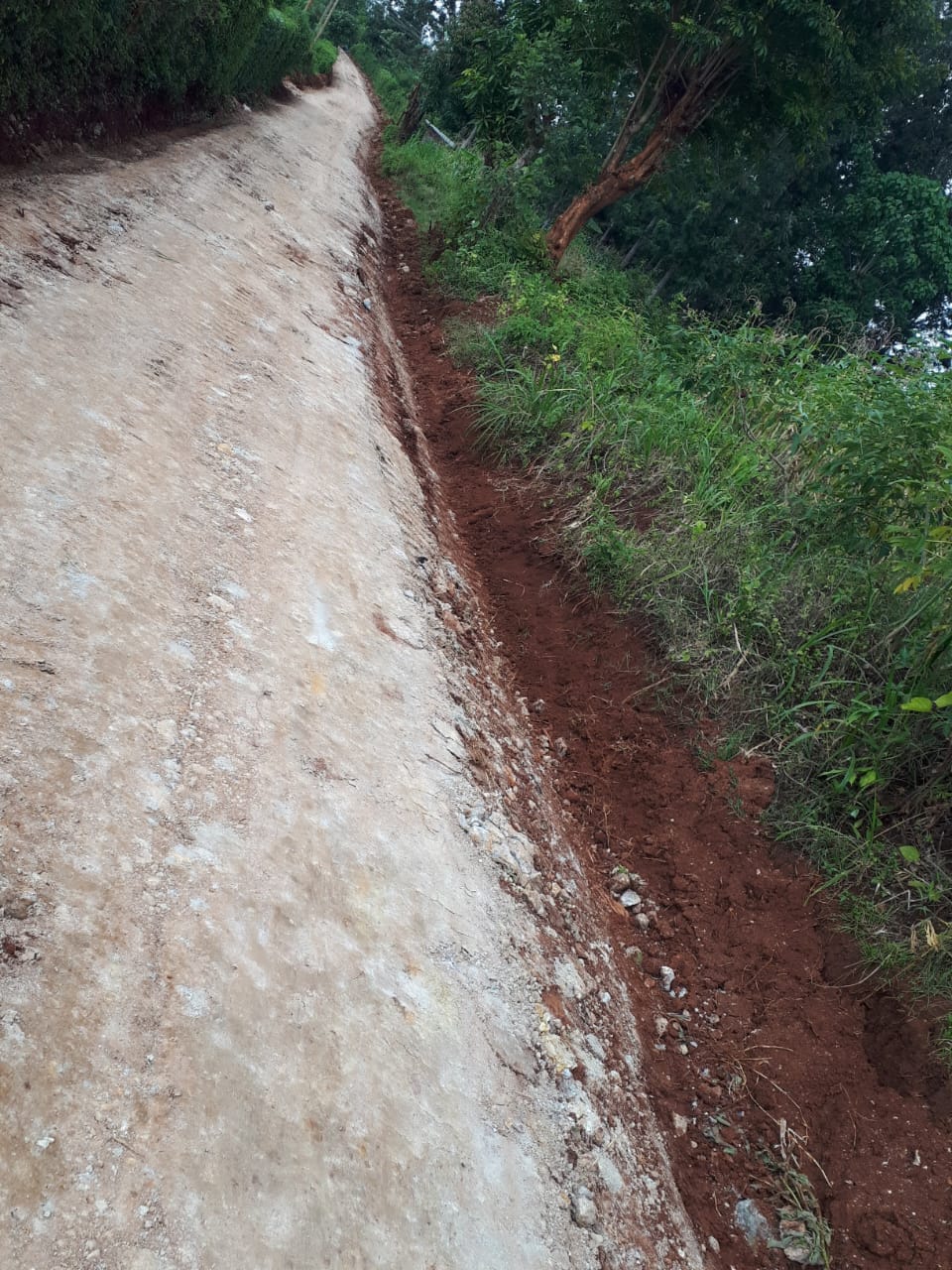 Urban Road Project